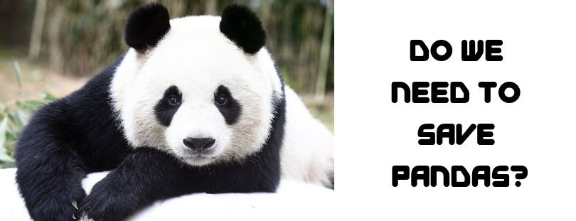 Do We Need To Save Pandas 