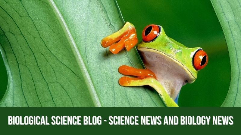 Biological Science Blog - Science News and Biology News